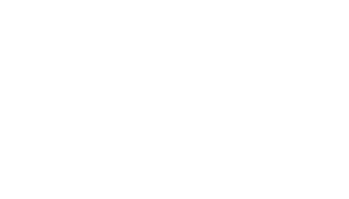 Sofia Camara Logo